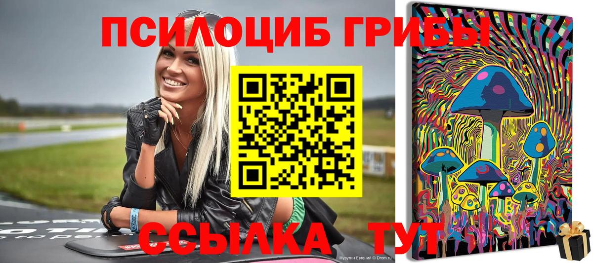 Лиски  Псилоцибиновые грибы Psilocybe  Вход с VPN  Псилоцибиновые грибы GOLDEN TEACHER 